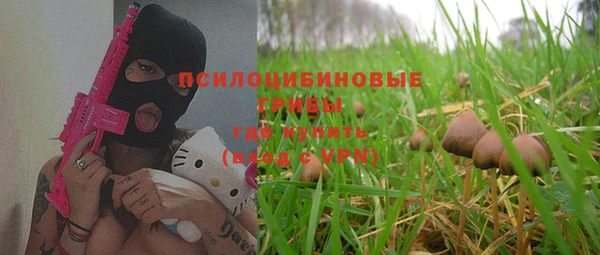 бутират Алексин
